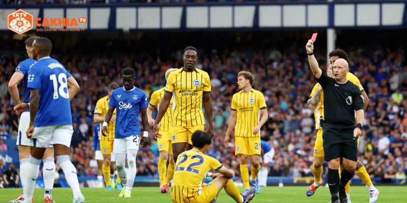 Nhận Định Everton Vs Brighton Ngoại Hạng Anh - Màn So Tài Gay Cấn 3 Những nhận định dự đoán kết quả trận đấu Everton vs Brighton