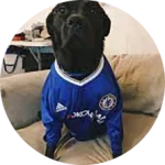 CakhiaTV – Cà Khịa TV phát trực tiếp bóng đá xuyên Tết 2026 22 Khán giả Chân Đen Sì