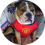 CakhiaTV – Cà Khịa TV phát trực tiếp bóng đá xuyên Tết 2026 20 Khán giả Đàn Thị Mân Nu