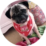 CakhiaTV – Cà Khịa TV phát trực tiếp bóng đá xuyên Tết 2026 21 Khán giả Lữ Đoàn Cho Đỉm